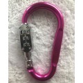 Combination lock carabiner